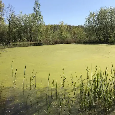 شقة Into The Sea *